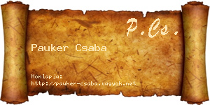 Pauker Csaba névjegykártya