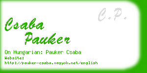 csaba pauker business card